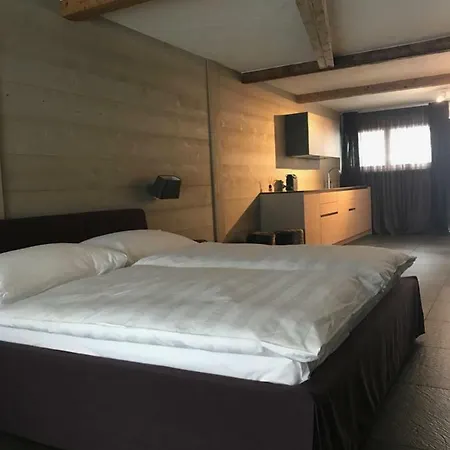 Charly In Apartment Gstaad